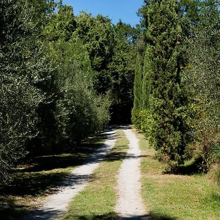 Poggio Oliveto 别墅